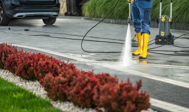 Best Fence Cleaning  in Clermont, IN